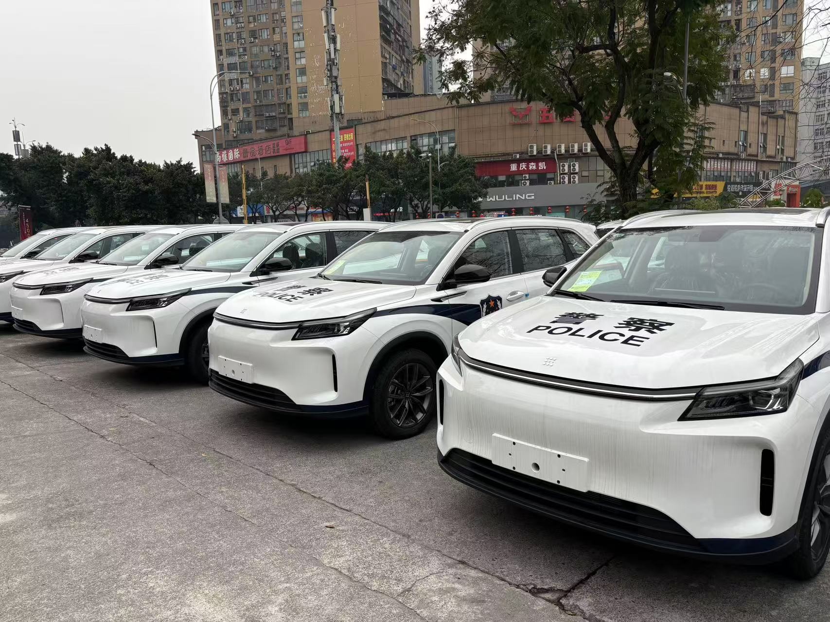 trường hợp công ty mới nhất về SERES DFSK E5 Plus - Nhóm an ninh công cộng mua