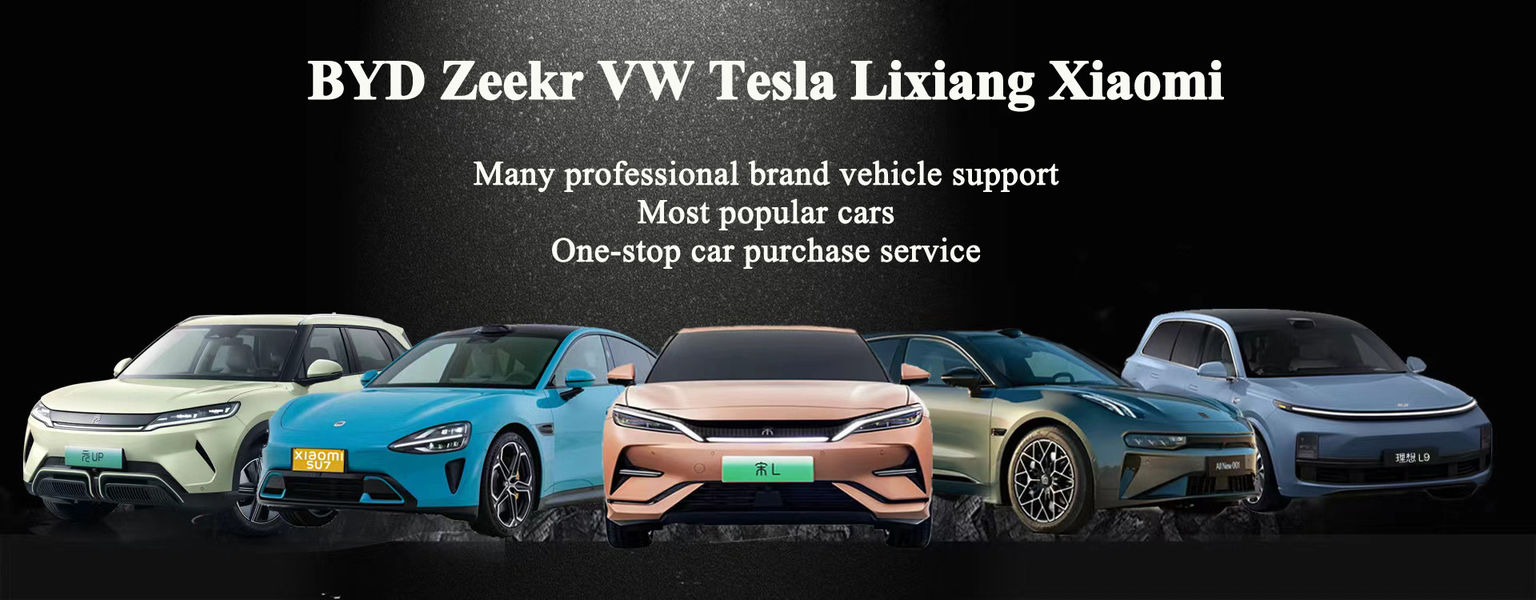 Trung Quốc tốt SUV điện bán hàng